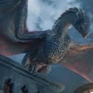 Meet your Posher, Caleb